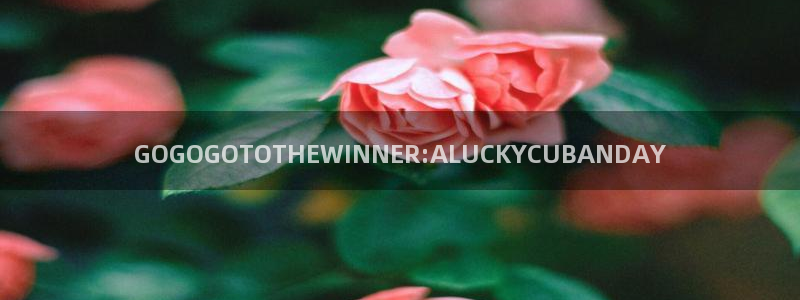 世界杯欧洲区预选赛:GOGOGOTOTHEWINNER:ALUCKYCUBANDAY