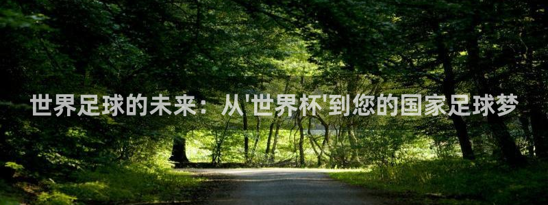 英格兰联赛杯直播:世界足球的未来:从\'世界杯\'到您的国家足球梦