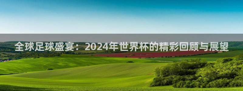 英足总杯直播:全球足球盛宴:2024年世界杯的精彩回顾与展望
