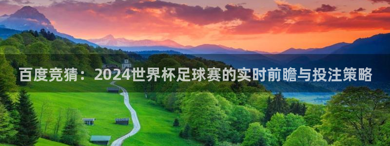 世界杯预选赛2026:百度竞猜:2024世界杯足球赛的实时前瞻与投注策略