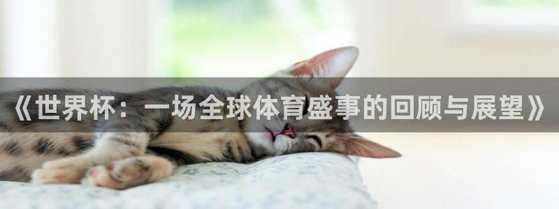 世界杯对阵图2026:《世界杯:一场全球体育盛事的回顾与展望》
