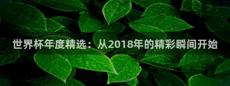 欧洲区世界杯预选赛:世界杯年度精选:从2018年的精彩瞬间开始